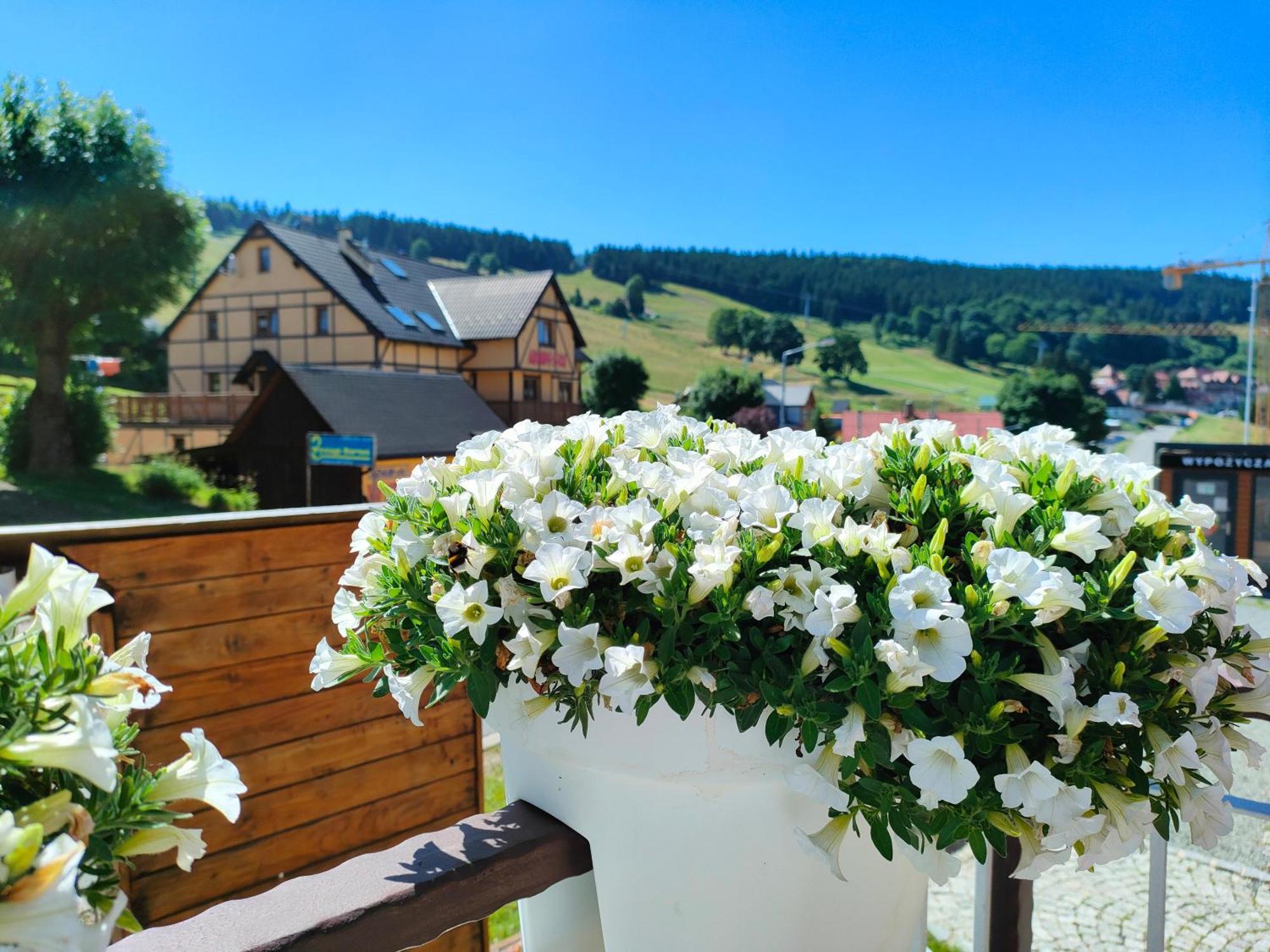 Ski&Spa Zieleniec Душники-Здруй Экстерьер фото